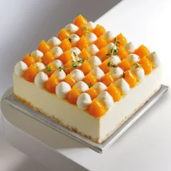 Cake Drums Carrés Argent 35 x 35 cm (x5)