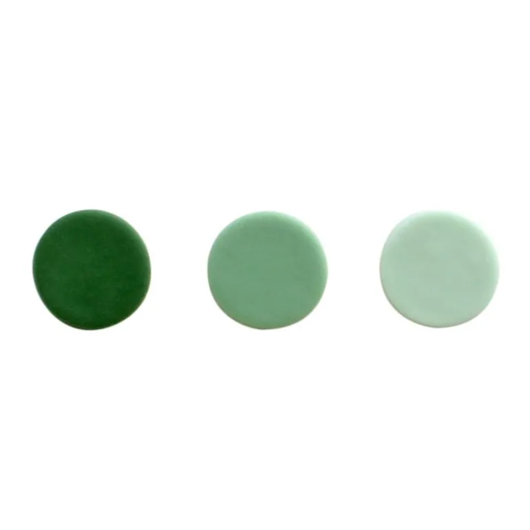 Colorant alimentaire naturel vert sapin PME