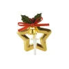 Etoile de Noël sur pique