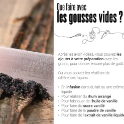 Gousse de Vanille Papouasie (x2)