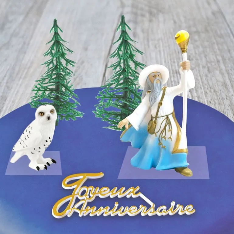 Kit décor Gâteau Sorcier