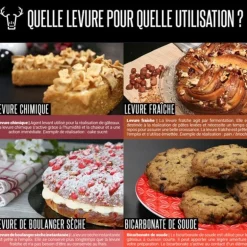 Levure instantanée spéciale pizza 125 g - DDM 02/25