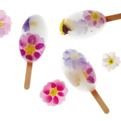 Moule à esquimaux silicone Waikiki + 50 bâtons