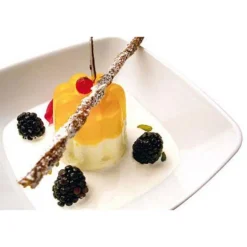 Moule silicone 8 bavarois 57x57 mm