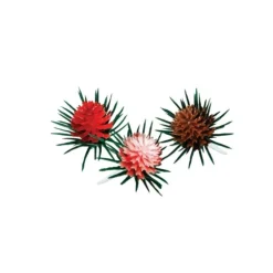 Pommes de pin assorties sur pique (x 72)