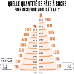 Pâte à sucre Chocolat Renshaw 250 g