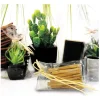Sachets plats polypropylène - 70 x 130 mm (x100)