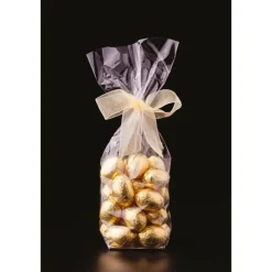 Sachets polypropylène 10 x 22cm fond carton + liens (x10)